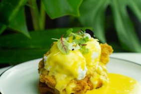 Benny-Cluck Benny-Cluck